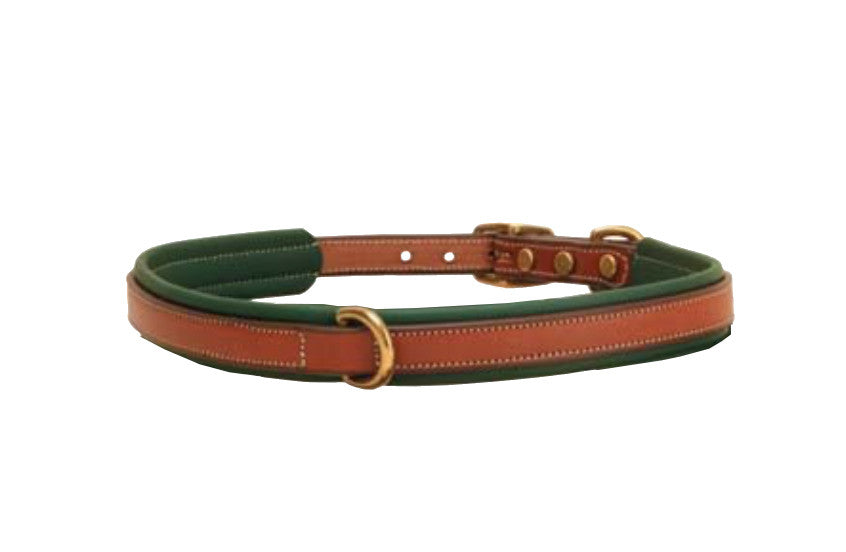 Tory Leather Narrow Padded Dog Collar - Oakbark/Green
