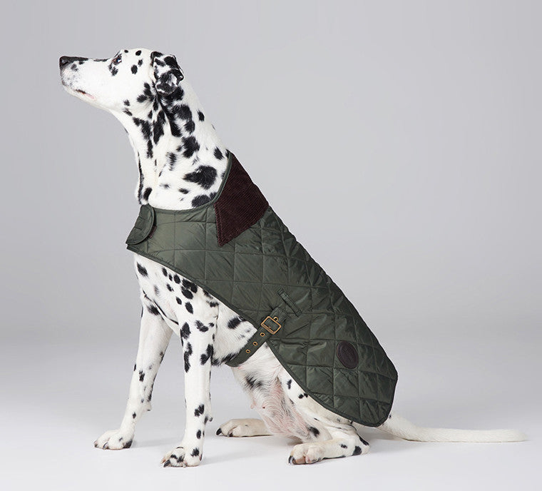 Barbour Green Quilted Dog Coat