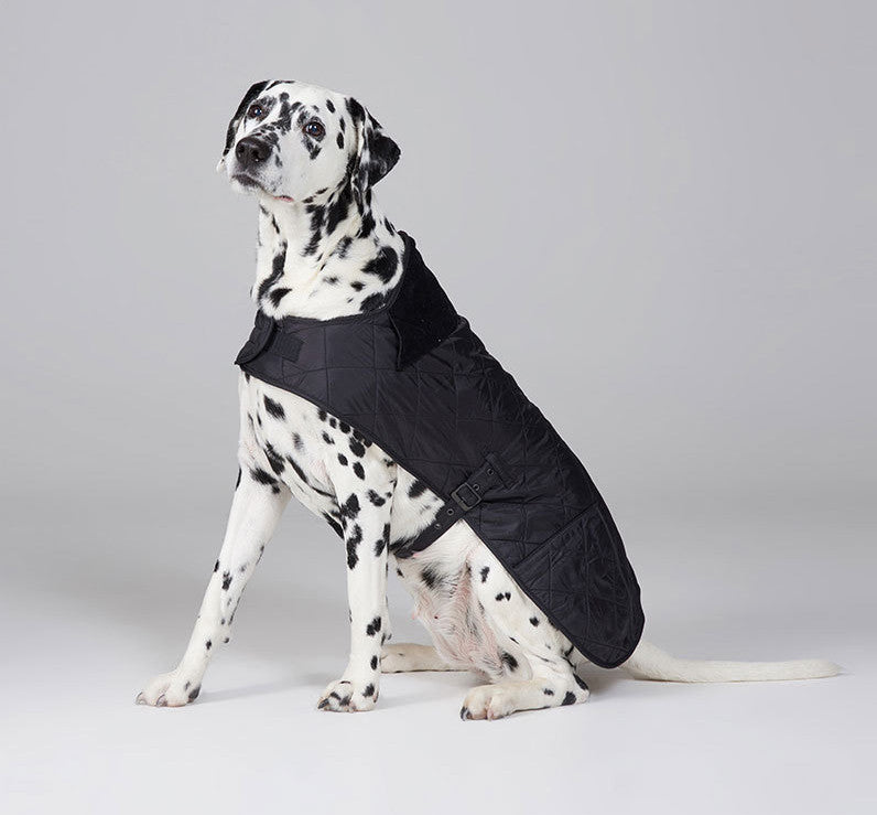 Barbour reflective dog coat new arrivals