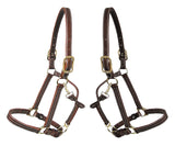 Walsh Kentucky Leather Halter - North Shore Saddlery