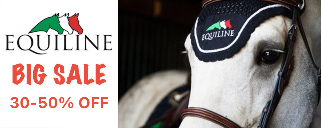 North Shore Saddlery